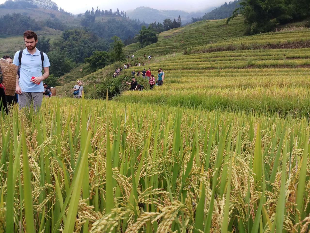 Tuongmai Home & Trekking Tour Sa Pa Buitenkant foto